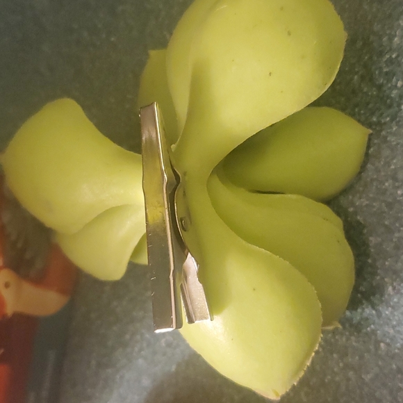 Dexter animal planter - Picture 5 of 6